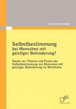 Selbstbestimmung Bei Menschen Mit Geistiger Behinderung?: How to Apply Best Practices to Small Scale Events