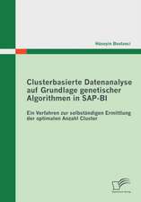 Clusterbasierte Datenanalyse Auf Grundlage Genetischer Algorithmen in SAP-Bi: Beginn Eines Neuen Zeitalters in Der Automobilindustrie?