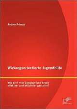 Wirkungsorientierte Jugendhilfe: Wie Kann Man P Dagogische Arbeit Effektiver Und Effizienter Gestalten?