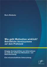 Wie Geht Motivation Wirklich? - Betriebliche Anreizsysteme Auf Dem Prufstand: Gangige Anreizpraktiken Von Unternehmen Im Licht Der Modernen Motivation