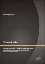 Power-To-Gas: Modellierung Der Energieverwertungspfade Und Einflussnahme Einer Veranderten Strommarktsituation