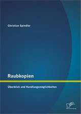 Raubkopien: Uberblick Und Handlungsmoglichkeiten