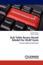 Sub Table Access Based Model For OLAP tools