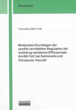 Molekulare Grundlagen der ramRA-vermittelten Regulation der multidrug resistance-Effluxpumpe AcrAB-TolC bei Salmonella und Citrobacter freundii