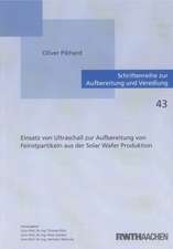 Einsatz von Ultraschall zur Aufbereitung von Feinstpartikeln aus der Solar Wafer Produktion