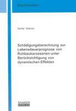 Schädigungsberechnung zur Lebensdauerprognose von Rohbaukarosserien unter Berücksichtigung von dynamischen Effekten