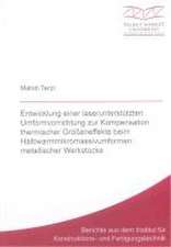 Entwicklung einer laserunterstützten Umformvorrichtung zur Kompensation thermischer Größeneffekte beim Halbwarmmikromassivumformen metallischer Werkstücke