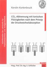 CO2-Abtrennung mit Ionischen Flüssigkeiten nach dem Prinzip der Druckwechselabsorption