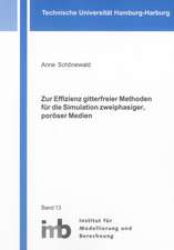 Zur Effizienz gitterfreier Methoden für die Simulation zweiphasiger, poröser Medien