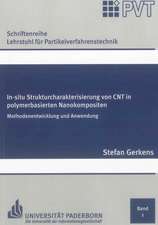 In-situ Strukturcharakterisierung von CNT in polymerbasierten Nanokompositen