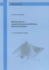 Mathematik im ingenieurwissenschaftlichen Bachelorstudium