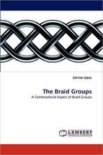 The Braid Groups