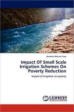 Impact Of Small Scale Irrigation Schemes On Poverty Reduction