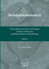 Stillich, O: Steinkohlenindustrie (Band 2)