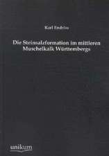 Endriss, K: Steinsalzformation im mittleren Muschelkalk Würt