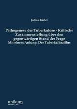 Pathogenese der Tuberkulose - Kritische Zusammenstellung über den gegenwärtigen Stand der Frage