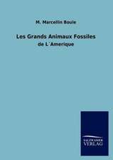 Les Grands Animaux Fossiles