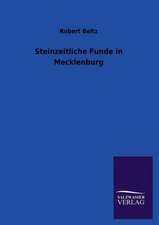 Steinzeitliche Funde in Mecklenburg