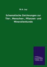 Schematische Zeichnungen Zur Tier-, Menschen-, Pflanzen- Und Mineralienkunde: Eine Studie Uber Deutschlands Seeverkehr in Seiner Abhangigkeit Von Der Binnenschif