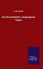 Aus Brunsbuttels Vergangenen Tagen: Mit Ungedruckten Briefen, Gedichten Und Einer Autobiographie Geibels