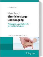 Handbuch Elterliche Sorge und Umgang