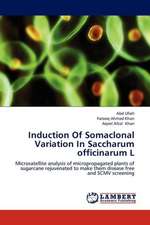 Induction Of Somaclonal Variation In Saccharum officinarum L