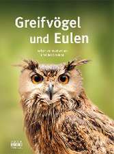 Greifvögel und Eulen