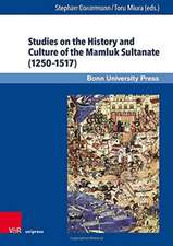 Studies on the History and Culture of the Mamluk Sultanate (