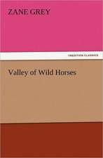 Valley of Wild Horses