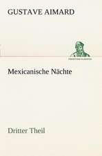 Mexicanische Nachte - Dritter Theil: A History of the Great Railroad Adventure