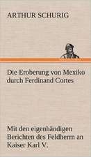 Die Eroberung Von Mexiko Durch Ferdinand Cortes: Das Lallen- Und Narrenbuch