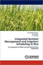 Integrated Nutrient Management and Irrigation Scheduling in Rice