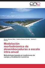 Modelación morfodinámica de desembocaduras a escala intra-anual