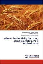 Wheat Productivity by Using some Biofertilizers & Antioxidants