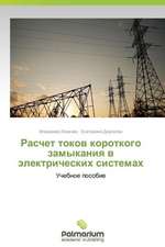 Raschet tokov korotkogo zamykaniya v elektricheskikh sistemakh