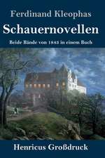 Schauernovellen (Großdruck)