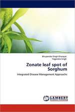 Zonate leaf spot of Sorghum