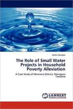 The Role of Small Water Projects in Household Poverty Alleviation