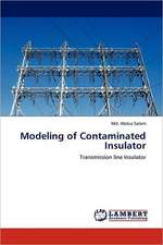 Modeling of Contaminated Insulator