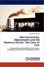 Macroeconomic Adjustments and Oil Revenue shocks: The Case of Iran