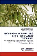 Proliferation of Indian Olive using Tissue Culture Techniques