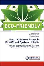 Natural Enemy Fauna in Rice-Wheat System of India