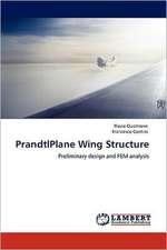 PrandtlPlane Wing Structure