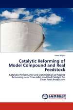 Catalytic Reforming of Model Compound and Real Feedstock