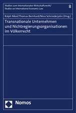 Transnationale Unternehmen Und Nichtregierungsorganisationen Im Volkerrecht: Synopse