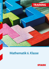 STARK Training Haupt-/Mittelschule - Mathematik 6. Klasse