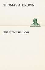 The New Pun Book