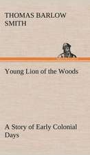 Young Lion of the Woods a Story of Early Colonial Days: Positive and Negative