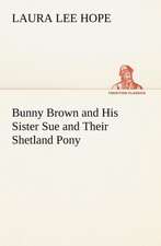 Bunny Brown and His Sister Sue and Their Shetland Pony