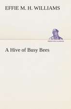 A Hive of Busy Bees